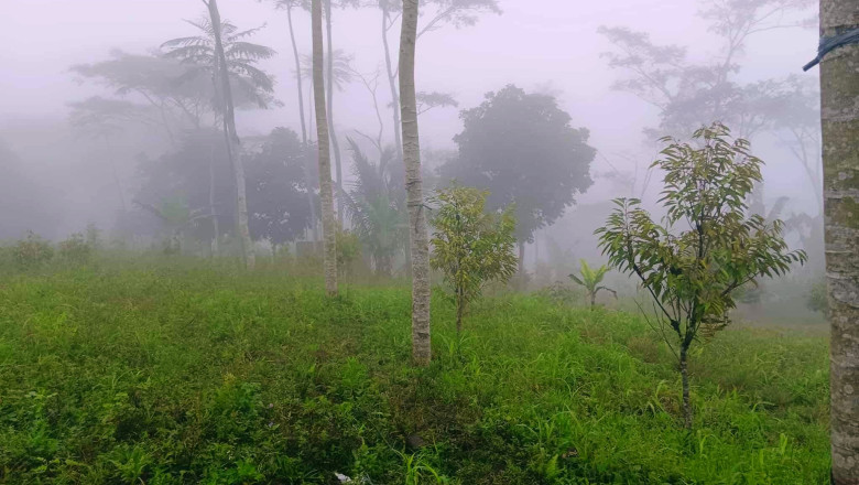 Davao City Strengthens El Niño preparedness through machinery support