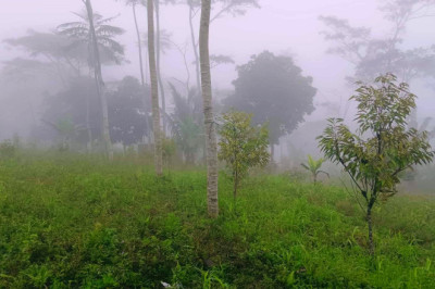 Davao City Strengthens El Niño preparedness through machinery support