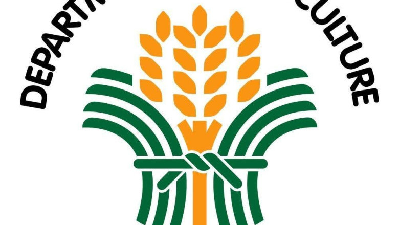 DA XI reports  ₱584.6-M agricultural losses due to  El Niño